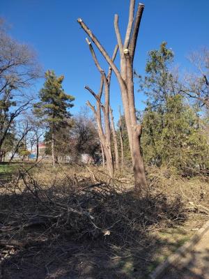 Прикрепленное изображение: 4.jpg